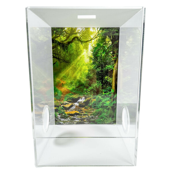 Insektenterrarium